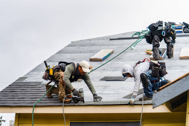 Professional Storm Damage Roof Repair technician working in Haverhill, FL